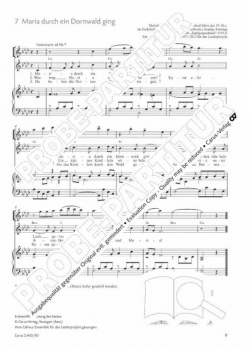 Preview: Notenbeispiel