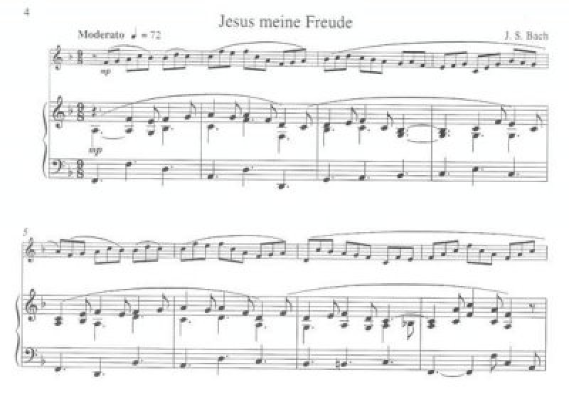 Zugaben und kleine Stücke für Klarinette und Orgel